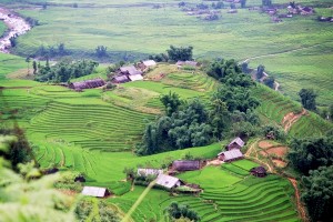 voyage 15 jours vietnam - vallee Sapa