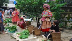 marché de Coc Ly circuit Vietnam avec enfants