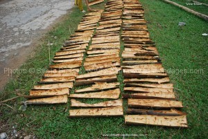 baton de canelle au vietnam