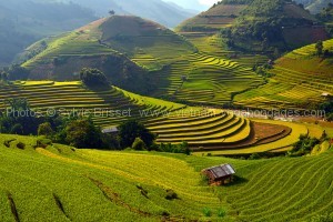 Photos rizières du Vietnam de Mu Cang Chai 