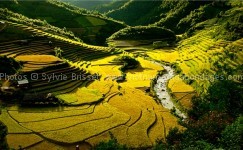 Circuit Route des Photographes voyage nord Vietnam photos de rizières et trek 3 jour