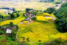 circuit sur mesure privatif 15 jours vietnam hors sentiers battus avec rizières en terrasse 