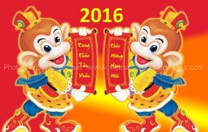 fête du Têt 2016 singe de feu