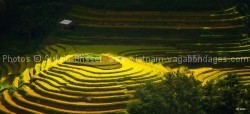 route-photographe-Mu Cang Chai