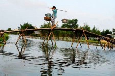 voyager au vietnam avec des enfants