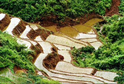 Circuit Vietnam 12 jours nord au sud avec Maichau, Ninh Binh, Halong.