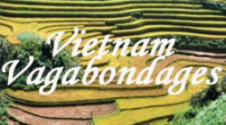 conseil voyage vietnam vagabondagesagence locale francophone