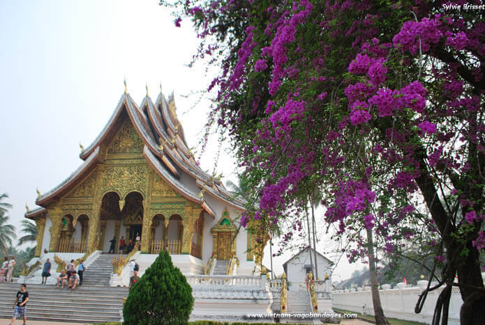 circuit découverte Laos Luang Prabang