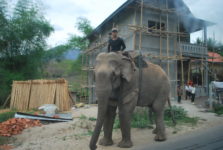 Laos randonnée Nong Kiaw - Pak Beng