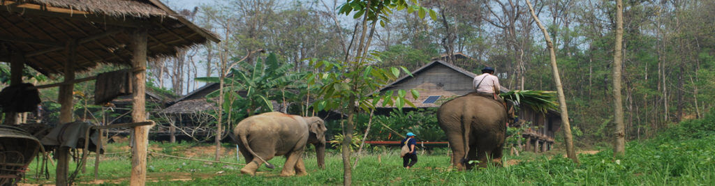 Agence francophone Laos - Sayabouri 