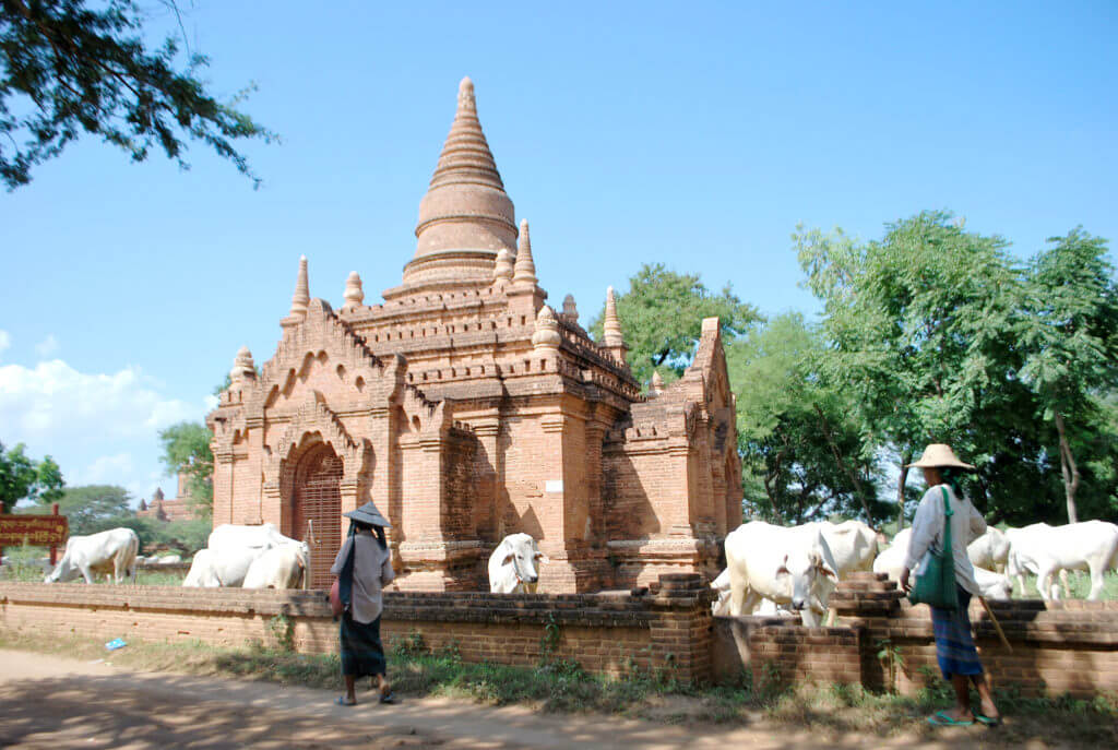 agence-locale-francophone-Birmanie-Bagan