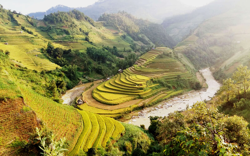 agence voyage sur mesure vietnam spécialiste en voyages privatifs avec agence  locale au Vietnam 