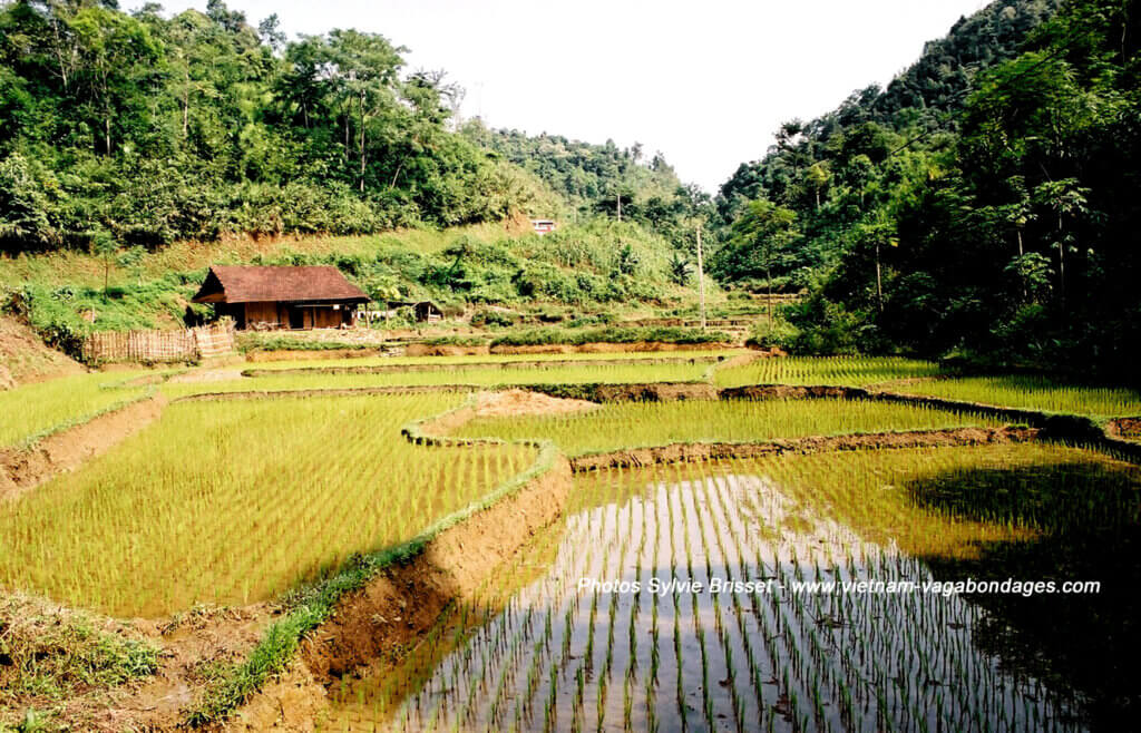 circuit Vietnam hors sentiers battus, voyage sur mesure au Vietnam 