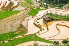 Circuit Vietnam 15 jours Les plus belles rizières en terrasse