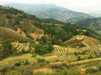 Circuit Vietnam randonnée Hoan Su Phi, Bac Ha, Phu Luong