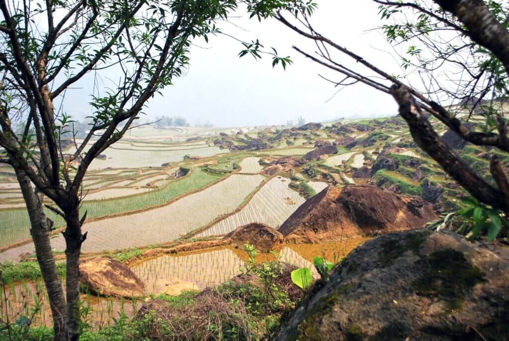 partage voyage solo Vietnam randonnée Maichau