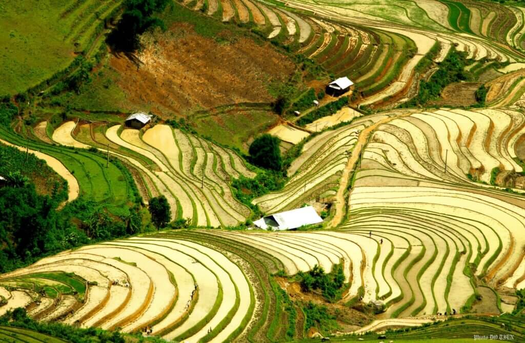 circuit 22 Jours découverte des rizières en terrasse au Vietnam
