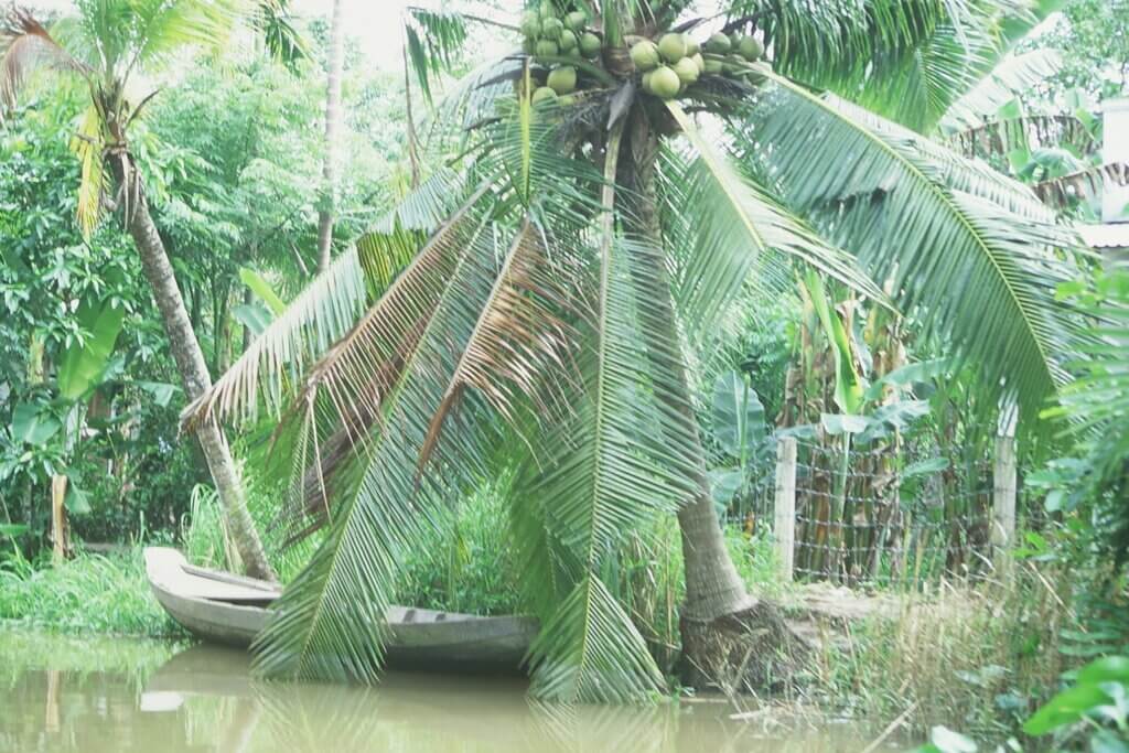 circuit delta du mekong au fil de l eau