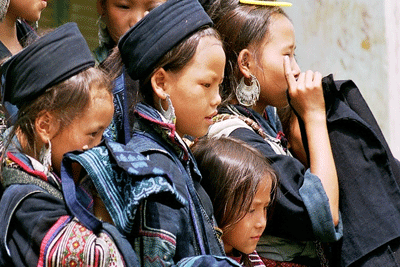 hmong-indigo-vietnam02.gif